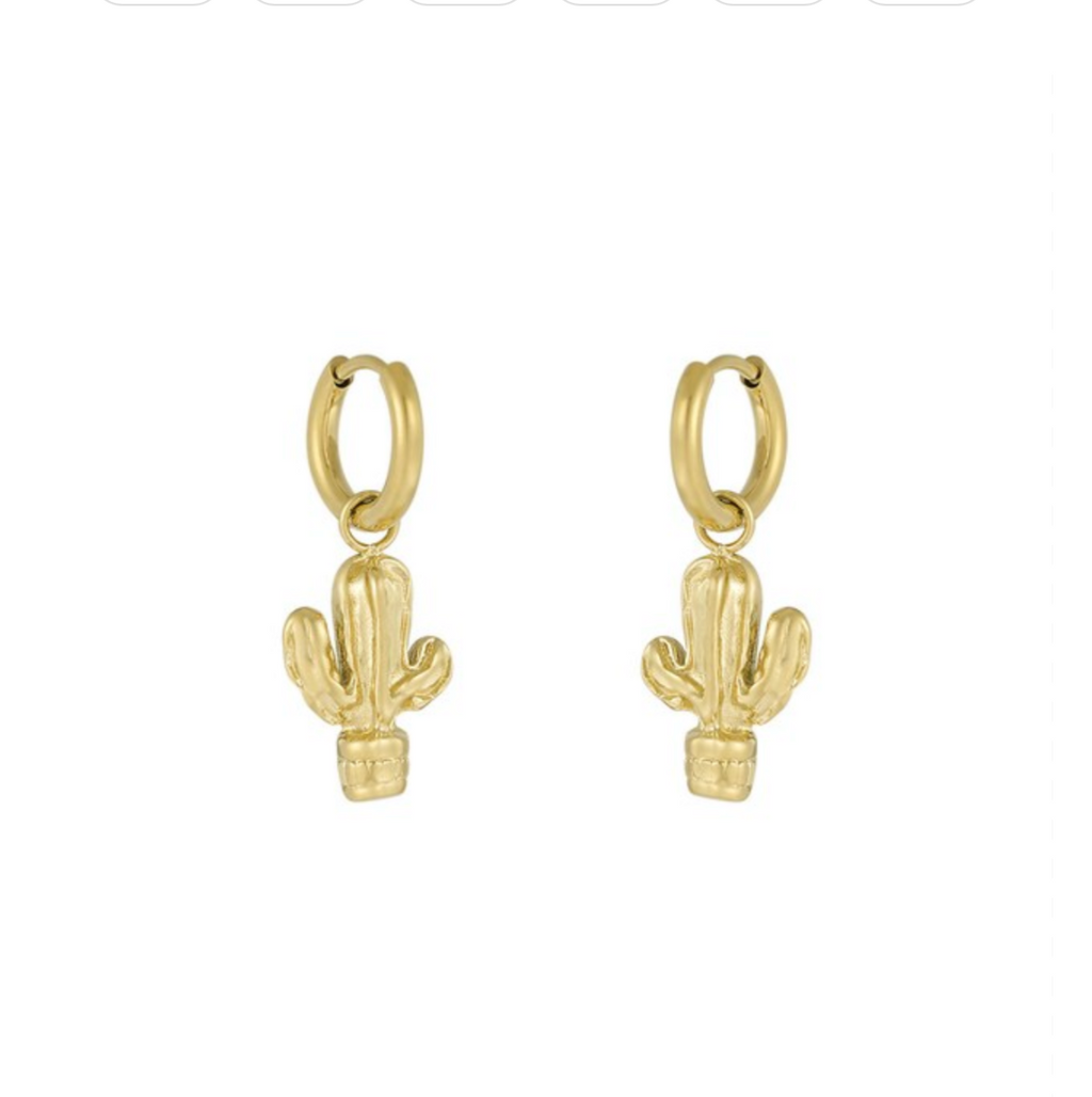Cactus oorbellen