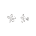 Cute Daisy oorbellen